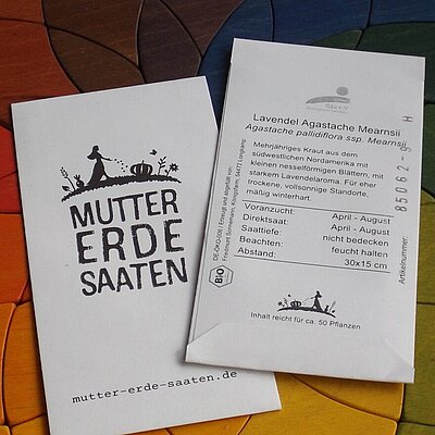 Lavendel Agastache Mearnsii