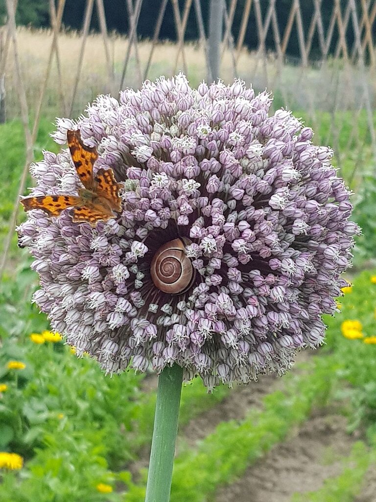 Foto des Jahres 2024