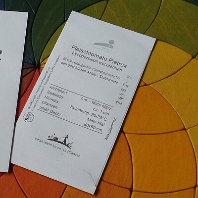 Fleischtomate Piatrex