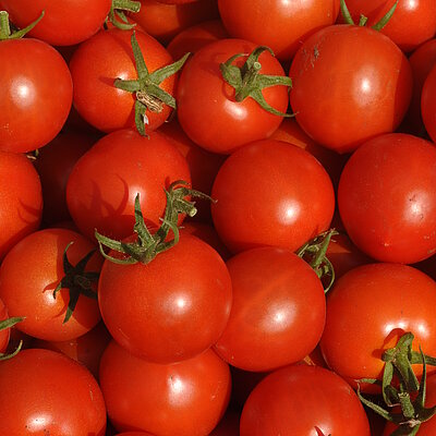 Cocktailtomate Resibella