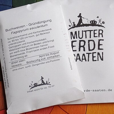 Buchweizen - Gründüngung
