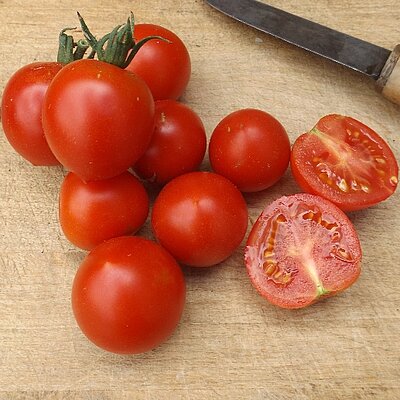 Cocktailtomate Ruthje