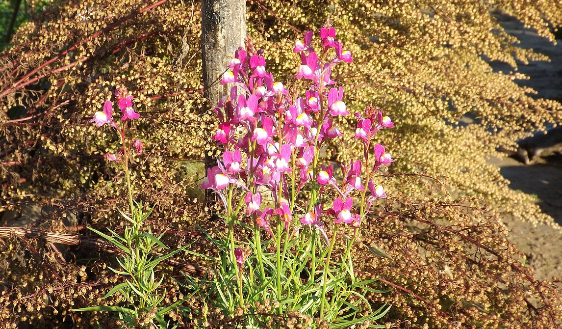 Herbst (copy 5)