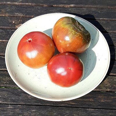 Fleischtomate Noire de Crimée
