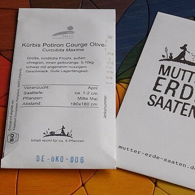 Kürbis Potiron Courge Olive