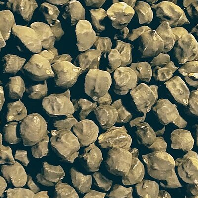 Kichererbse Black Kabuli