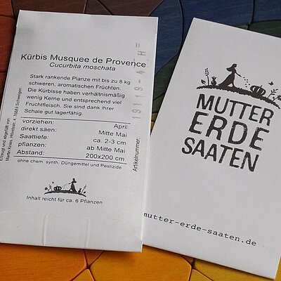 Kürbis Musquee de Provence