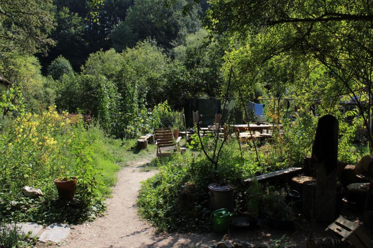 Tag der offenen Tür auf der Königsfarm Tag der offenen Tür auf der Königsfarm